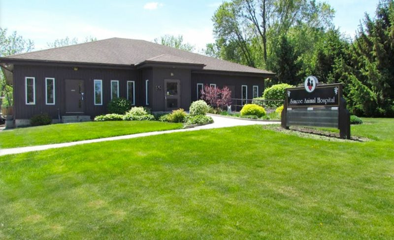 Simcoe Animal Hospital Exterior View